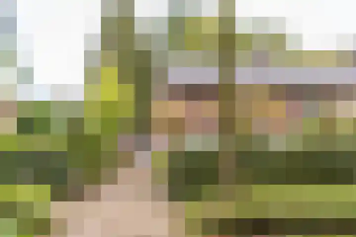 Willem van Abcoudelaan 58 Driebergen-Rijsenburg thumbnail 55
