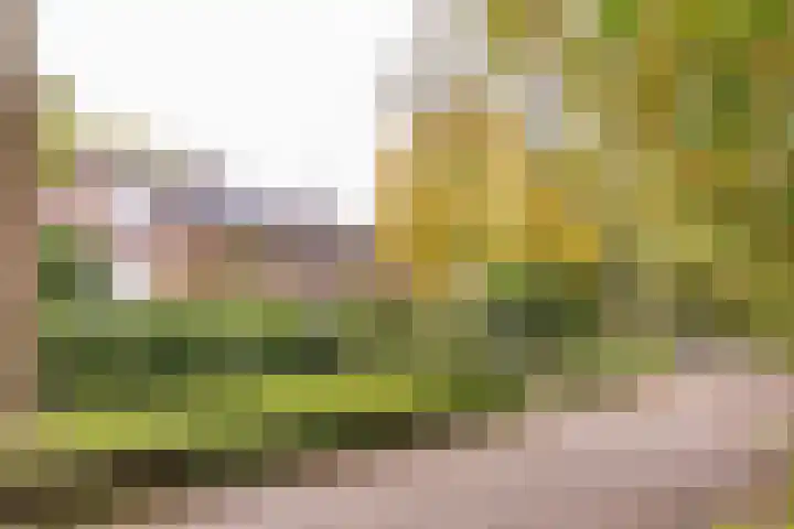 Willem van Abcoudelaan 58 Driebergen-Rijsenburg thumbnail 56