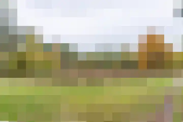 Willem van Abcoudelaan 58 Driebergen-Rijsenburg thumbnail 60