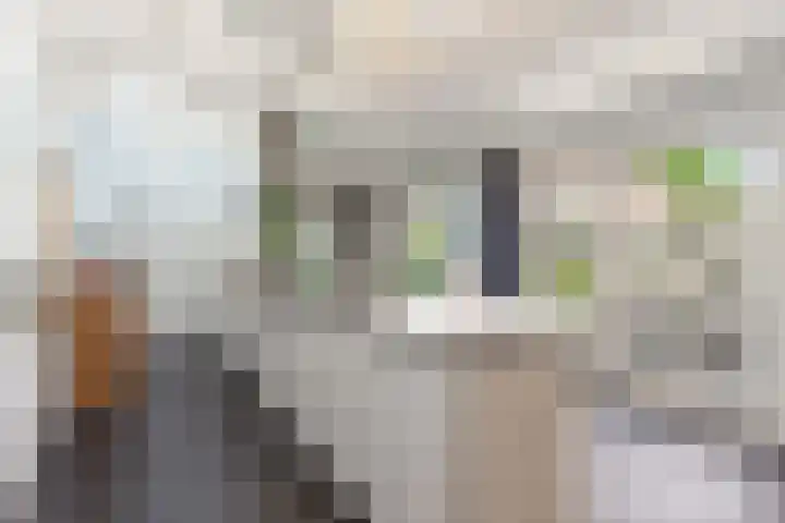 Willem van Abcoudelaan 7 Abcoude thumbnail 11