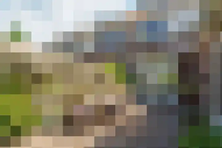 Willem van Abcoudelaan 7 Abcoude thumbnail 4
