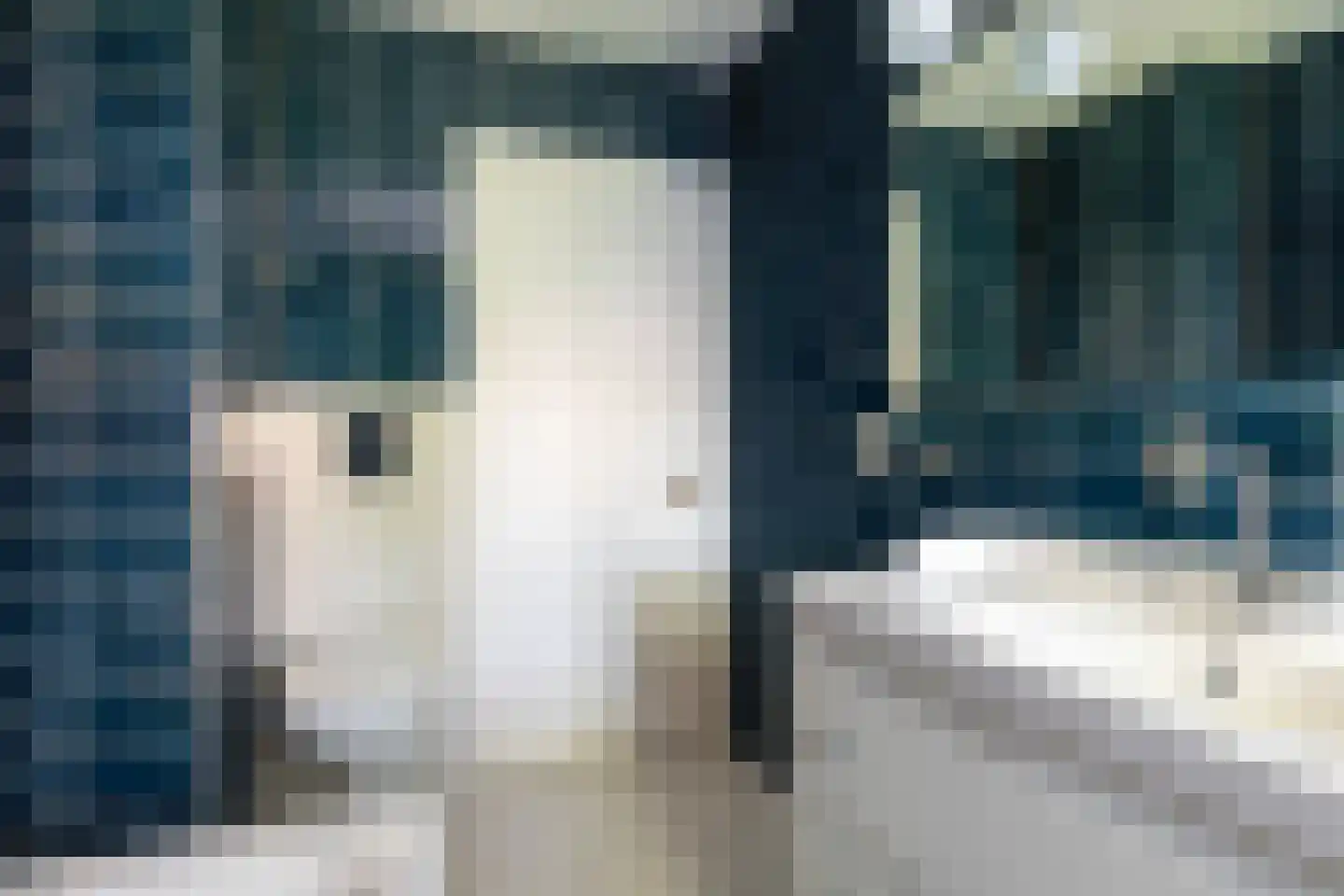 Willem van Abcoudeplein 23 Utrecht thumbnail 20