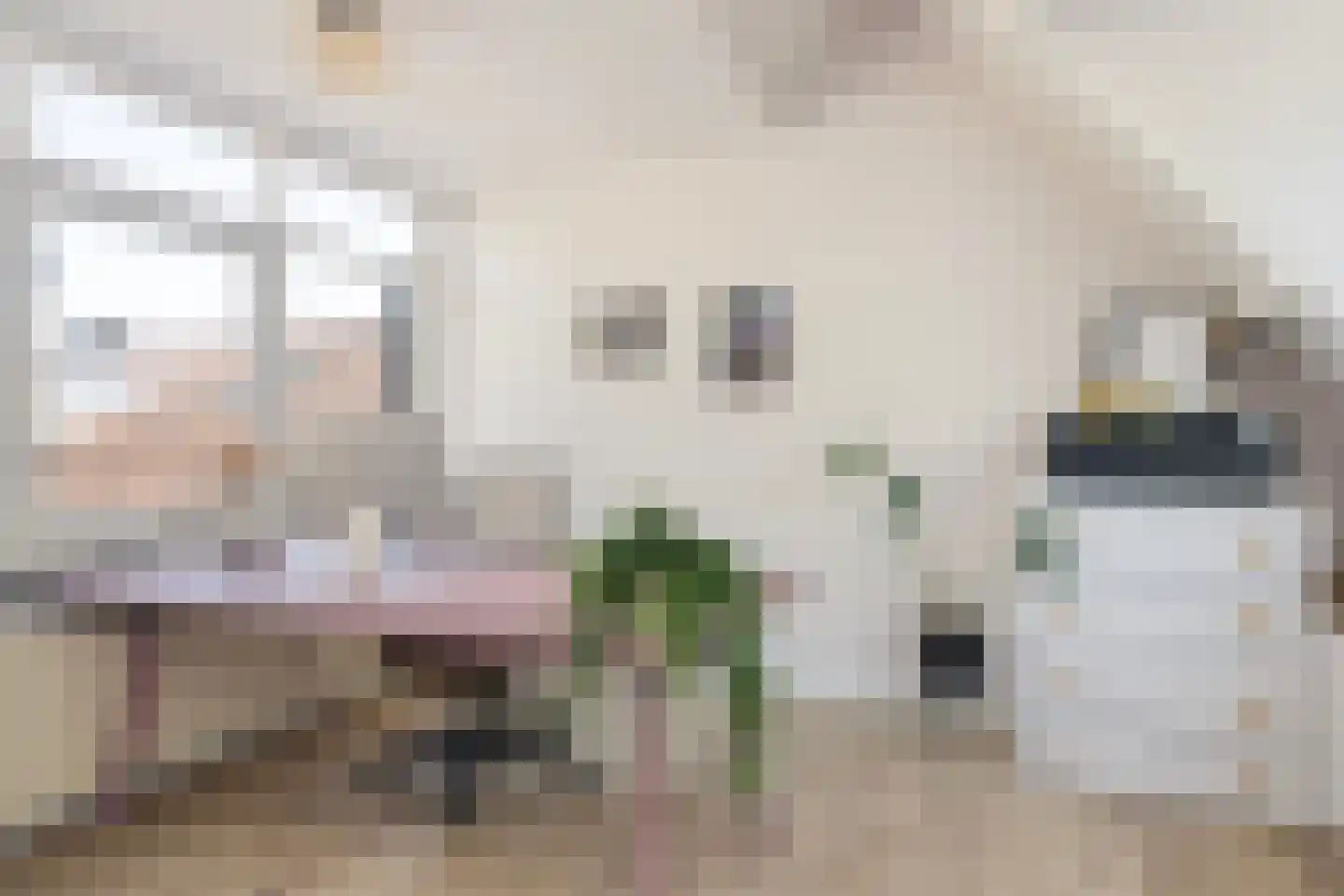 Willem van Abcoudeplein 23 Utrecht thumbnail 32