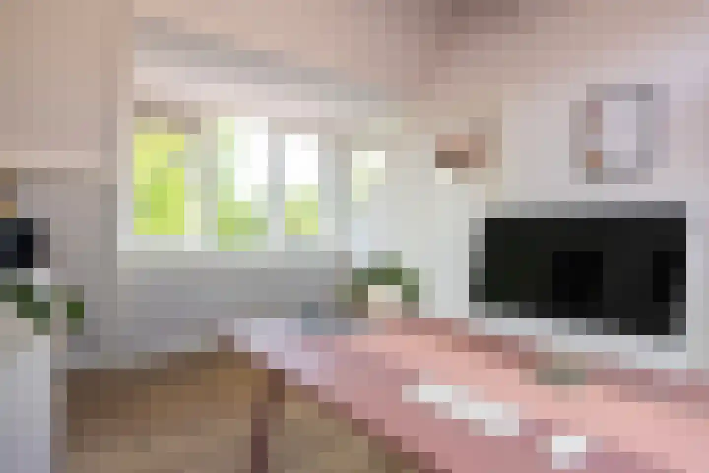 Willem van Abcoudeplein 23 Utrecht thumbnail 33