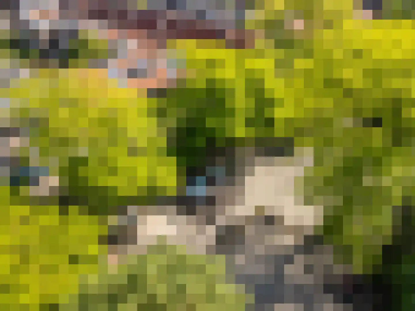 Willem van Abcoudeplein 23 Utrecht thumbnail 37