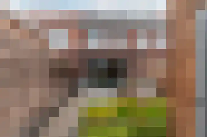Willem van Ariestraat 12 Harderwijk thumbnail 6