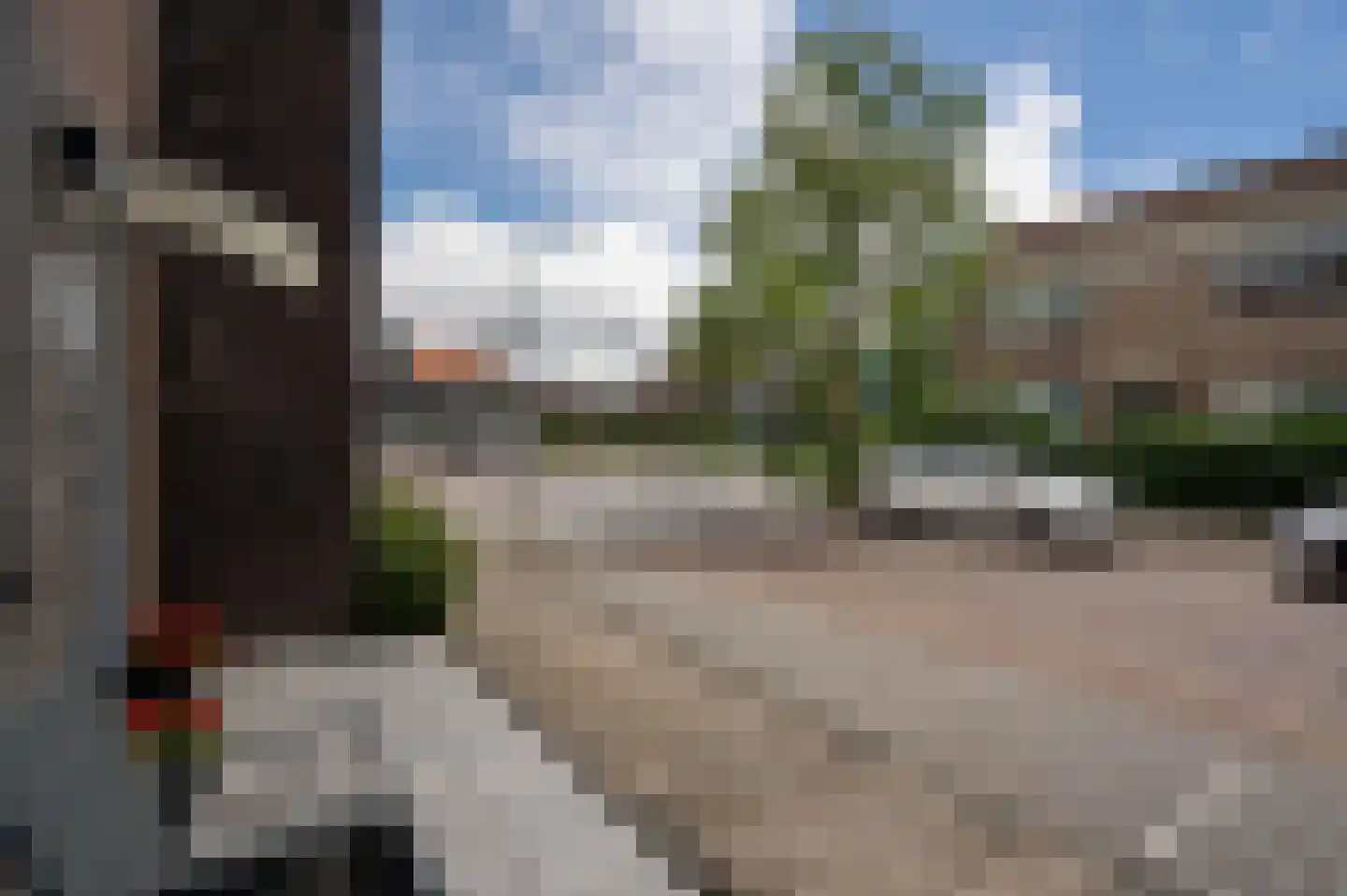 Willem van Arkellaan 2 Gorinchem thumbnail 43