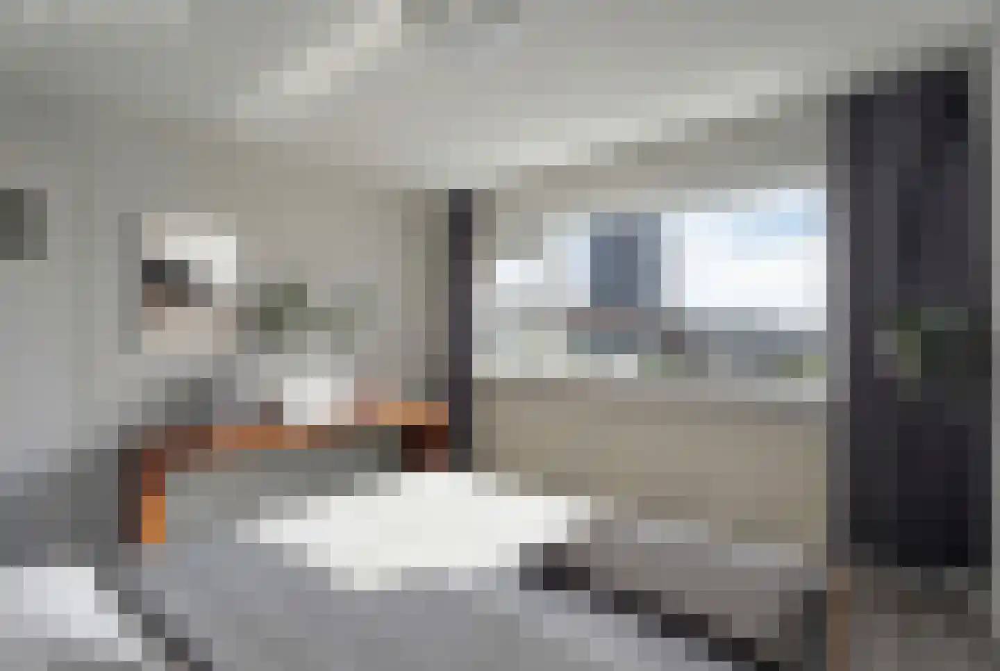 Willem van Arkellaan 39 Gorinchem thumbnail 8