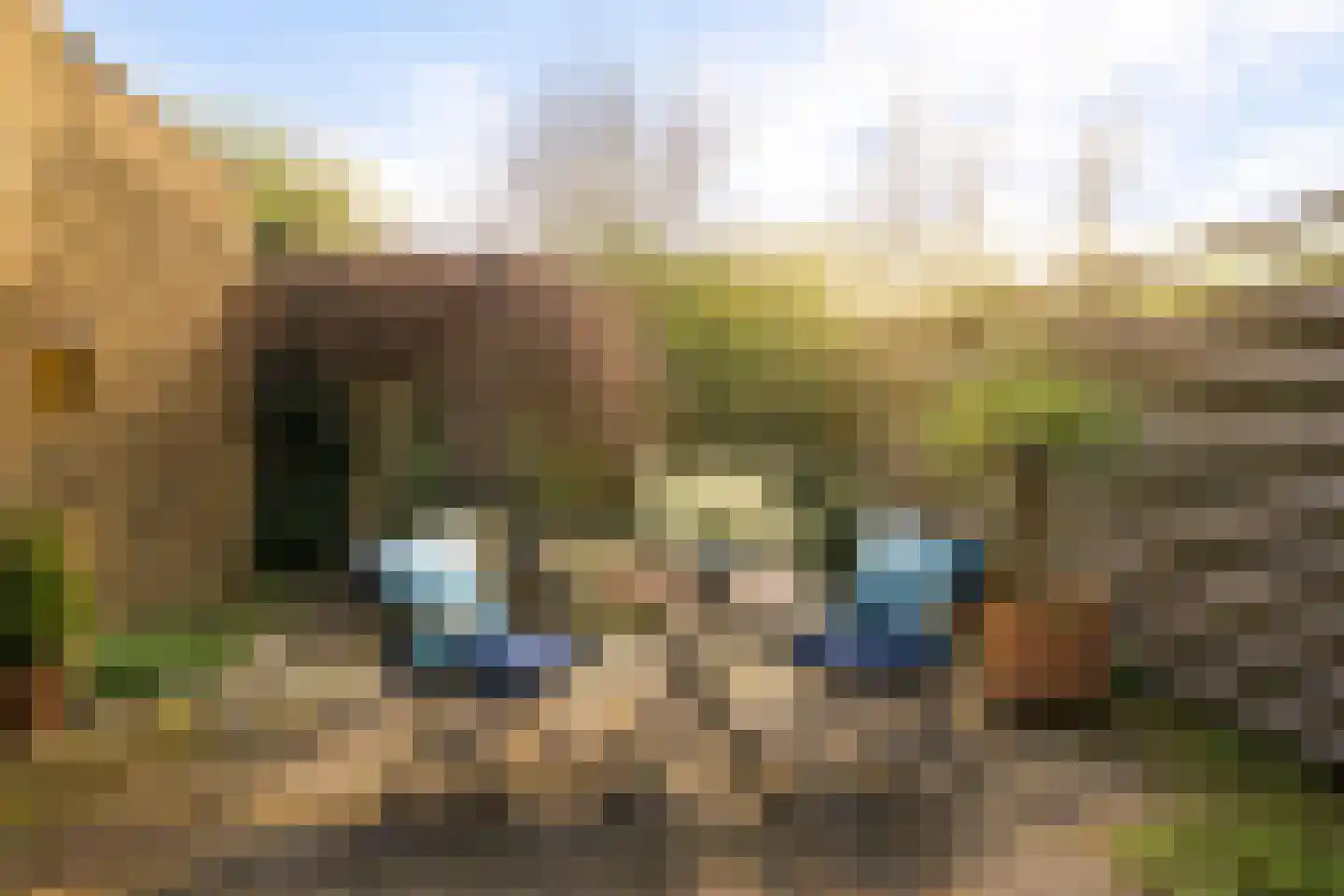 Willem van Beelenstraat 9 Noordwijk thumbnail 14