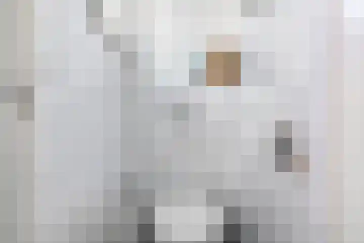 Willem van Beijerenlaan 36 Amstelveen thumbnail 13