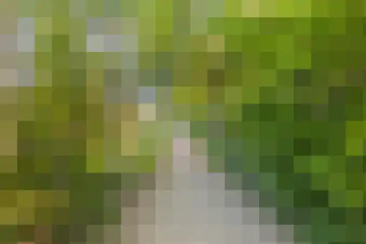 Willem van Beijerenlaan 36 Amstelveen thumbnail 30