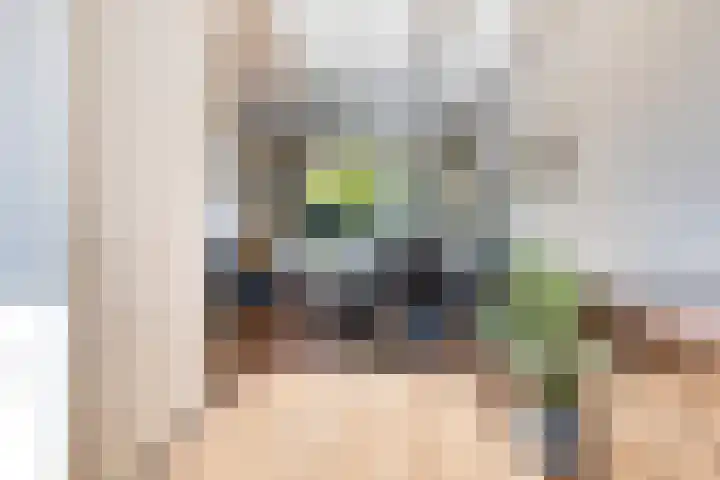 Willem van Beijerenlaan 36 Amstelveen thumbnail 9