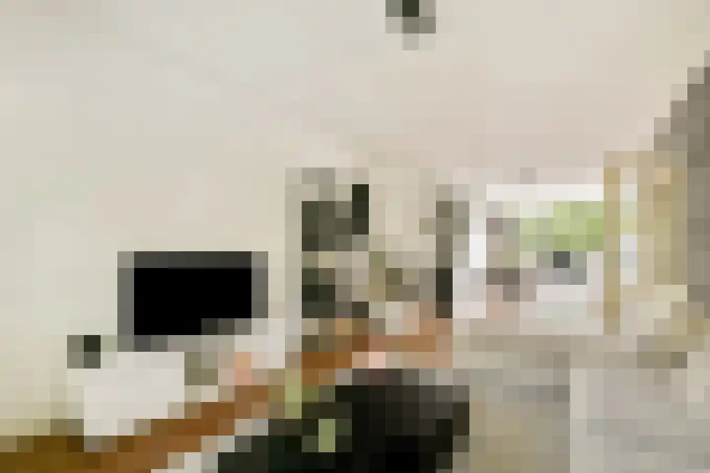 Willem van Beijerenlaan 8 Amstelveen thumbnail 11