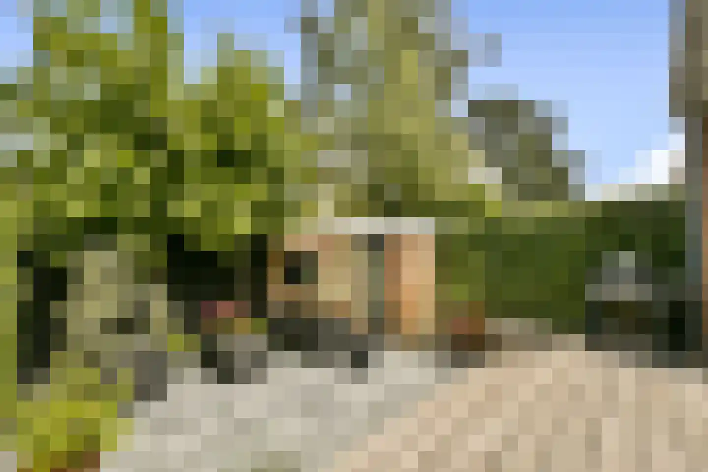 Willem van Beijerenlaan 8 Amstelveen thumbnail 14