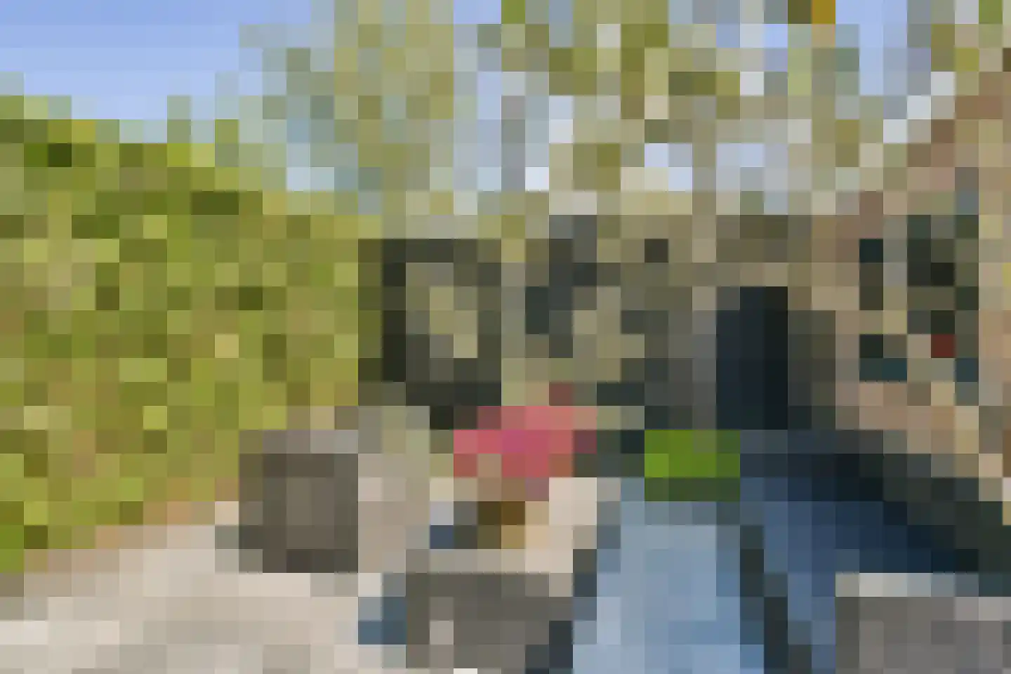 Willem van Beijerenlaan 8 Amstelveen thumbnail 14