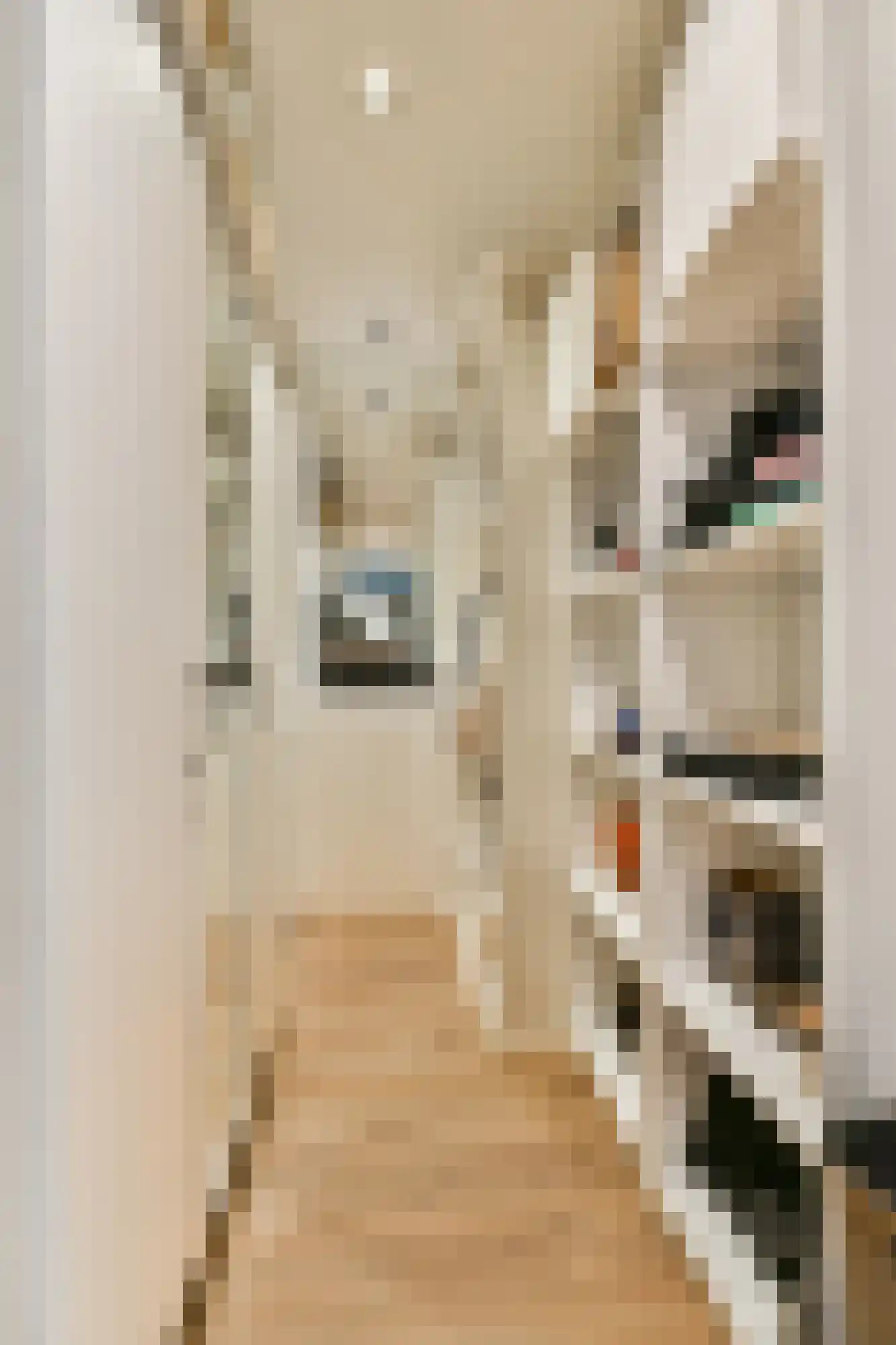 Willem van Beijerenlaan 8 Amstelveen thumbnail 27