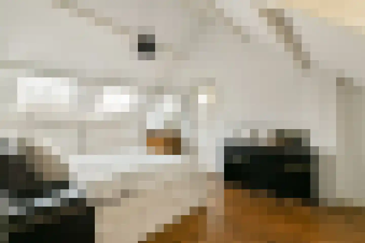 Willem van Beijerenlaan 8 Amstelveen thumbnail 29