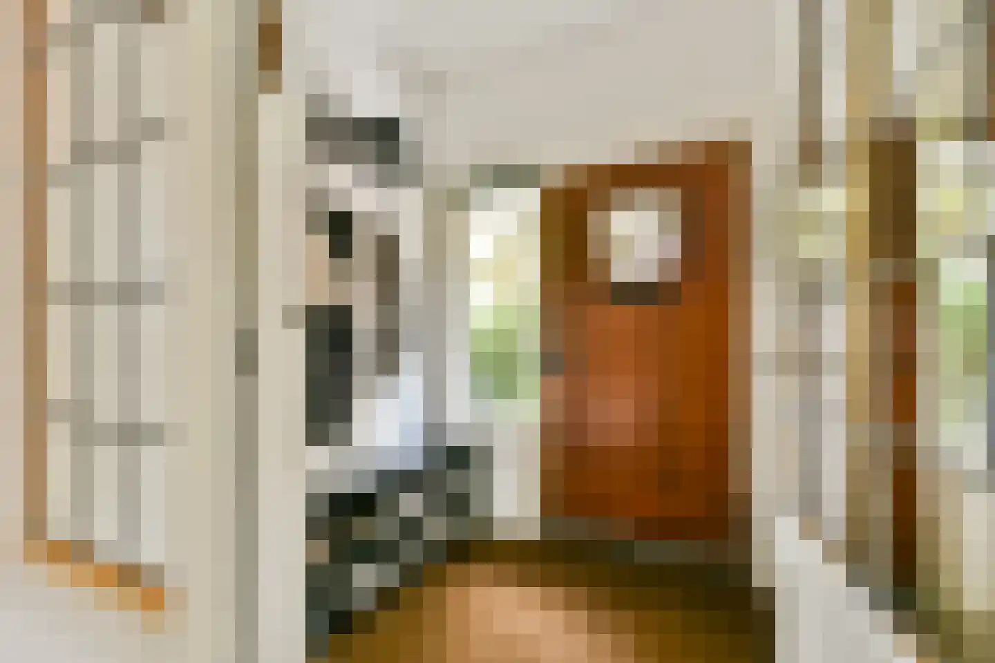 Willem van Beijerenlaan 8 Amstelveen thumbnail 33