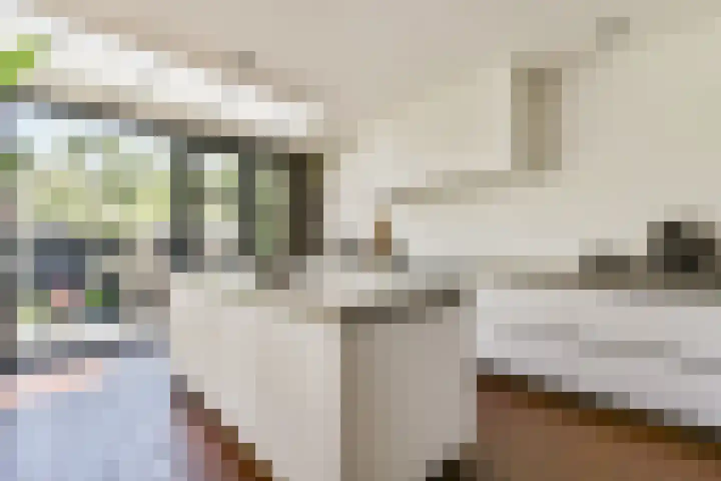 Willem van Beijerenlaan 8 Amstelveen thumbnail 6