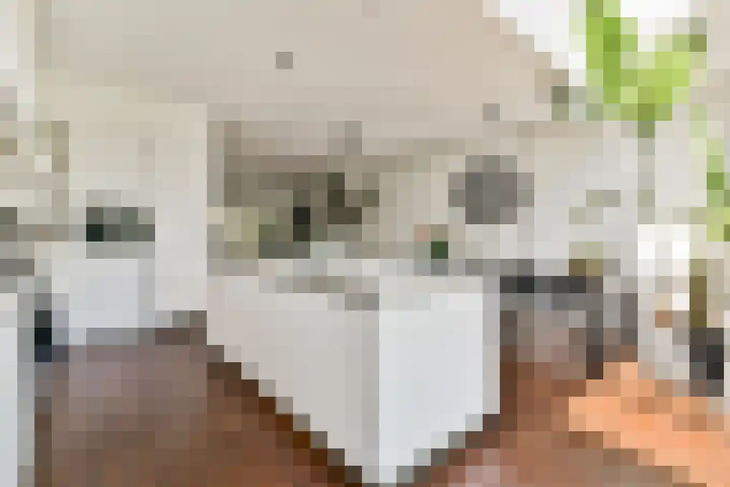 Willem van Beijerenlaan 8 Amstelveen thumbnail 7