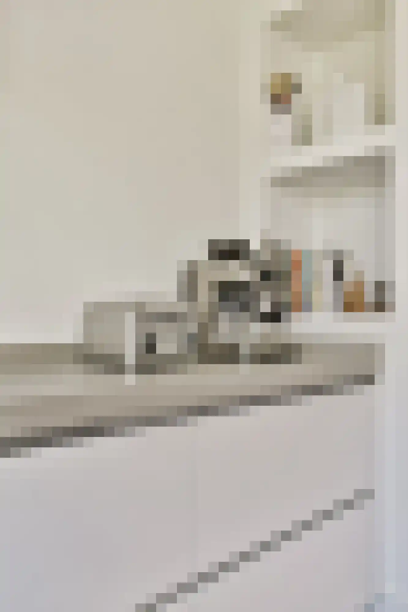 Willem van Beijerenlaan 8 Amstelveen thumbnail 8