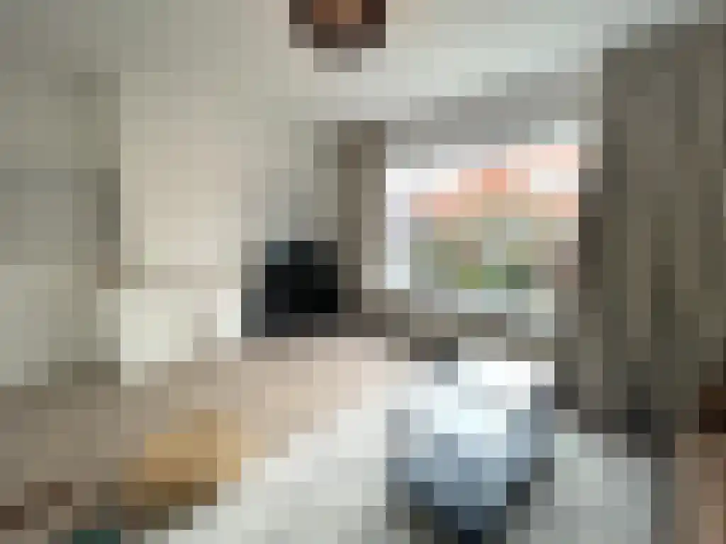 Willem van Beijerenlaan Amstelveen thumbnail 4