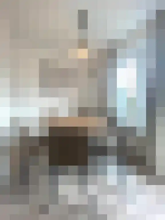 Willem van Beijerenlaan Amstelveen thumbnail 6