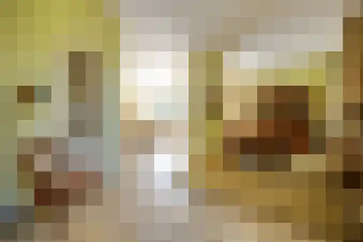 Willem van Beuningenlaan 6 Vught thumbnail 12