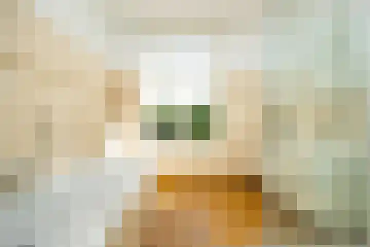 Willem van Beuningenlaan 6 Vught thumbnail 19