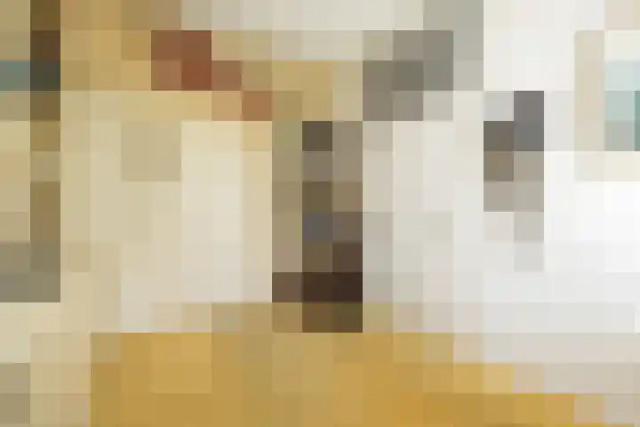 Willem van Beuningenlaan 6 Vught thumbnail 22