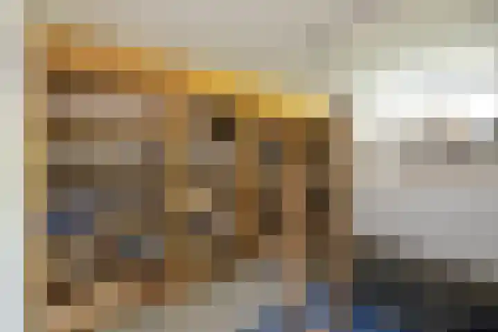 Willem van Beuningenlaan 6 Vught thumbnail 23