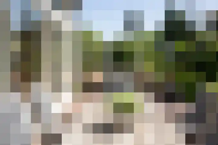 Willem van Beuningenlaan 6 Vught thumbnail 24