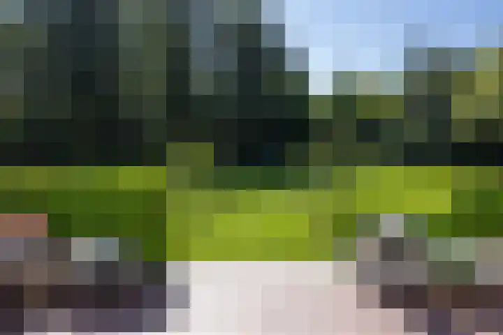 Willem van Beuningenlaan 6 Vught thumbnail 26