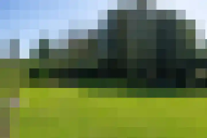 Willem van Beuningenlaan 6 Vught thumbnail 27