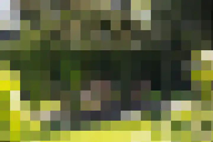Willem van Beuningenlaan 6 Vught thumbnail 28
