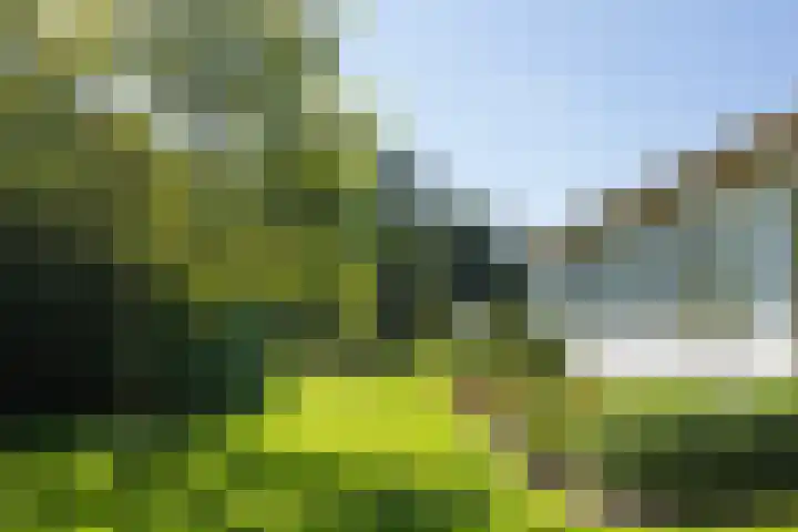 Willem van Beuningenlaan 6 Vught thumbnail 30