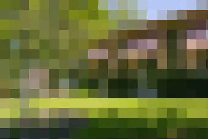 Willem van Beuningenlaan 6 Vught thumbnail 31