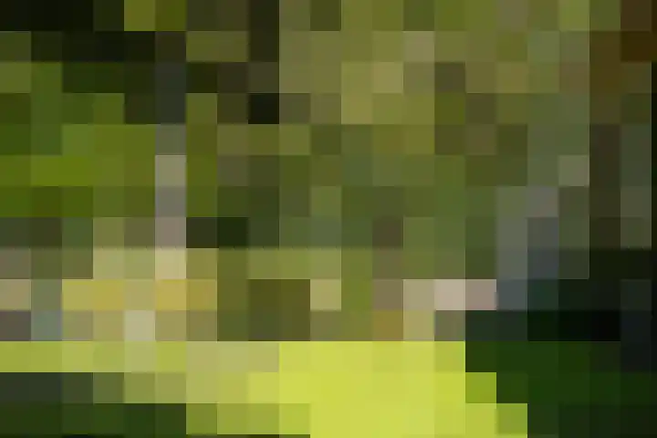 Willem van Beuningenlaan 6 Vught thumbnail 34