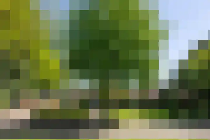Willem van Beuningenlaan 6 Vught thumbnail 36