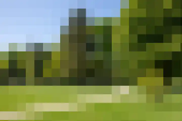 Willem van Beuningenlaan 6 Vught thumbnail 37