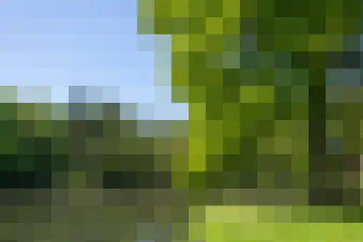 Willem van Beuningenlaan 6 Vught thumbnail 38