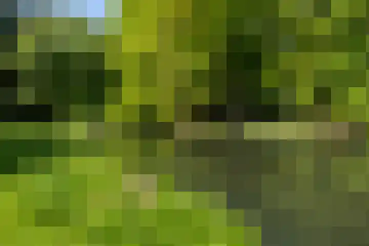 Willem van Beuningenlaan 6 Vught thumbnail 39