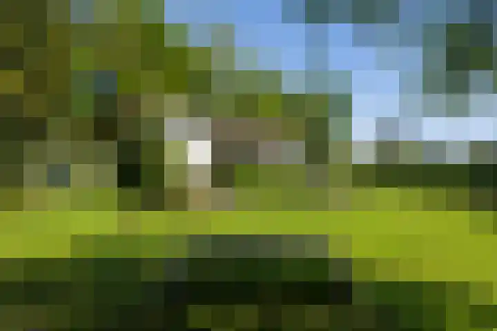 Willem van Beuningenlaan 6 Vught thumbnail 5