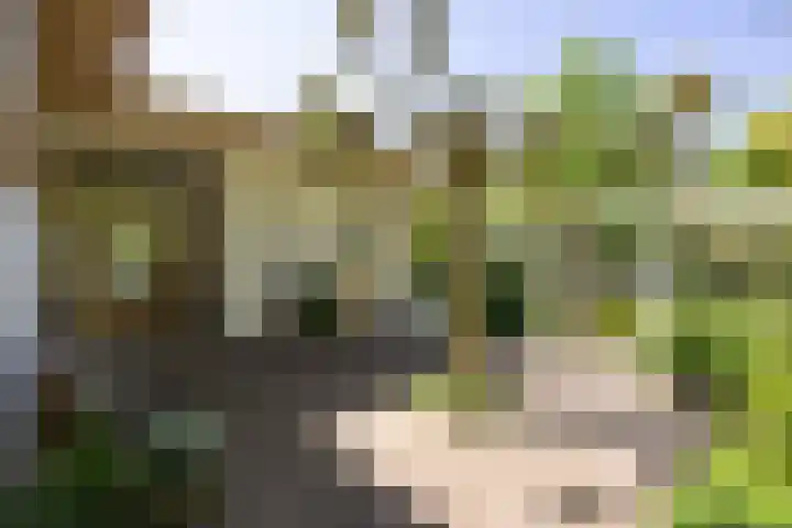 Willem van Beuningenlaan 6 Vught thumbnail 6