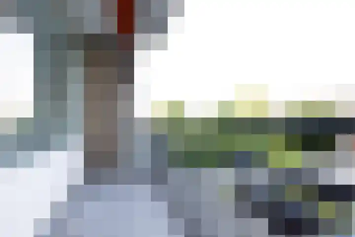 Willem van Boelrestraat 107 Rotterdam thumbnail 13