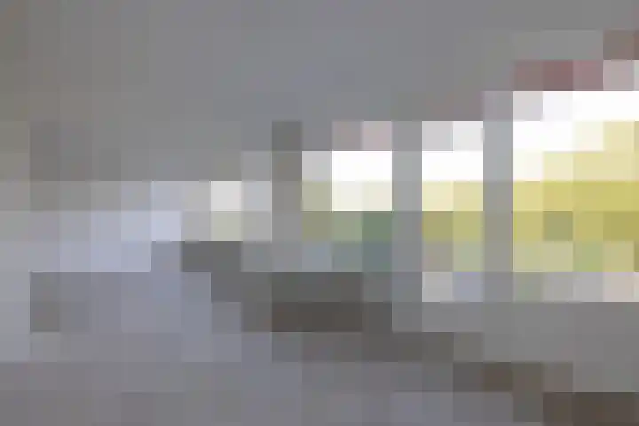 Willem van Boelrestraat 107 Rotterdam thumbnail 9