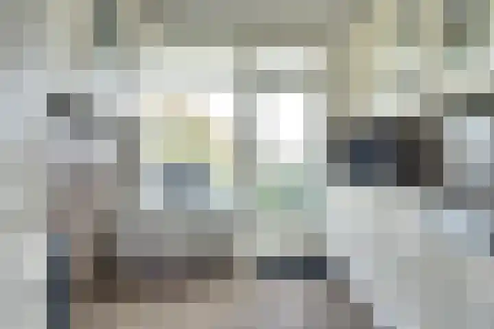 Willem van Boelrestraat 11 Rotterdam thumbnail 11