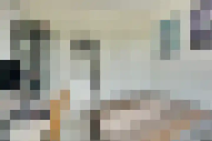 Willem van Boelrestraat 11 Rotterdam thumbnail 13
