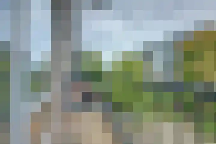 Willem van Boelrestraat 11 Rotterdam thumbnail 18
