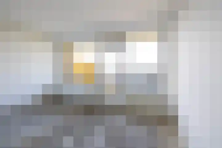 Willem van Boelrestraat 113 Rotterdam thumbnail 12
